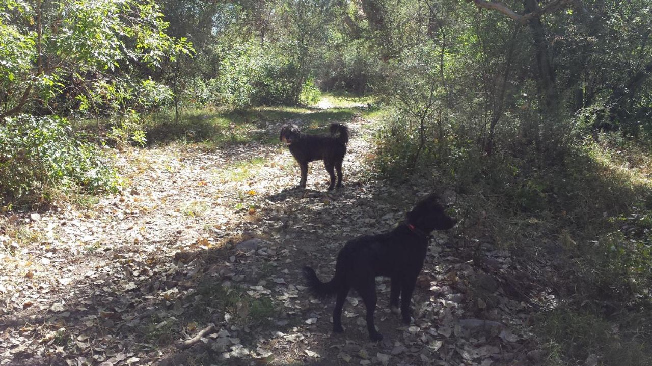 Rancho Santa Cruz Panzió Tubac Kültér fotó