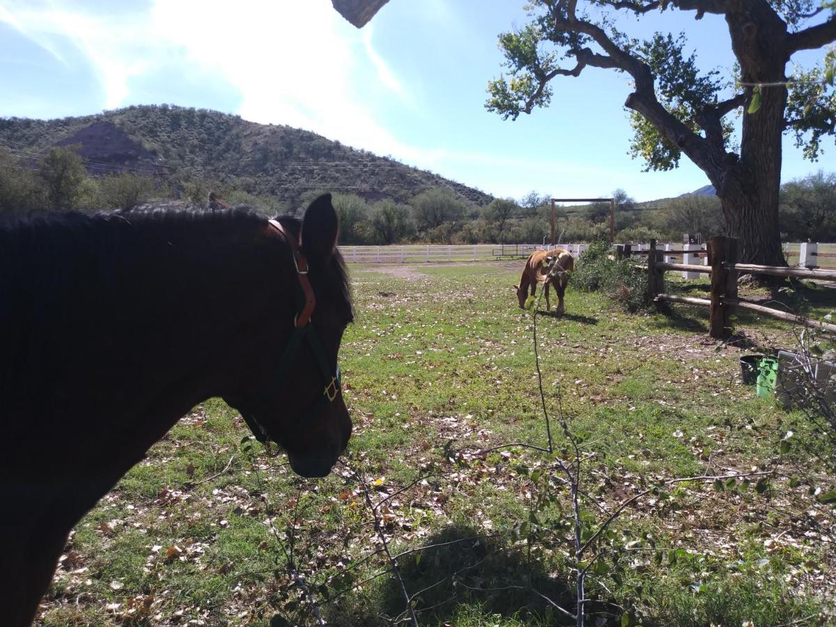Rancho Santa Cruz Panzió Tubac Kültér fotó